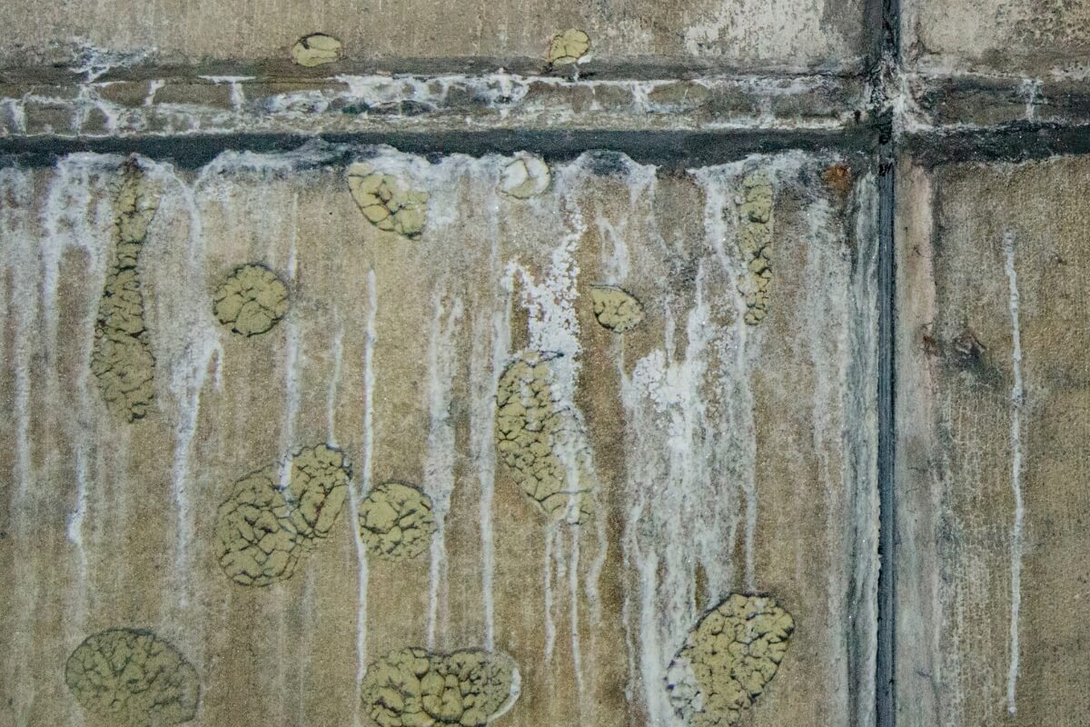 Saltwater coating seawall with salt deposits, causes of soil erosion behind seawall in St. Augustine, FL.