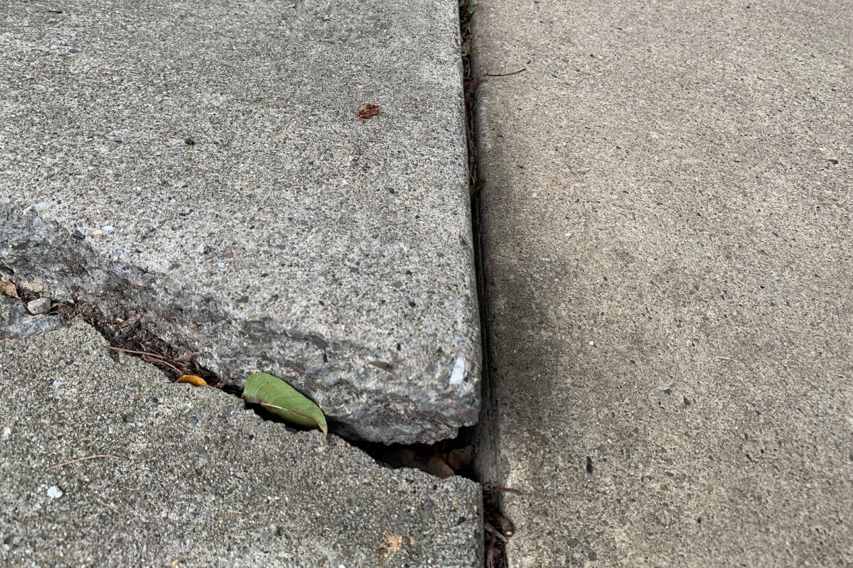 A concrete slabs pushed one section upward, a sign of tree roots lifting concrete in Ocala, FL.