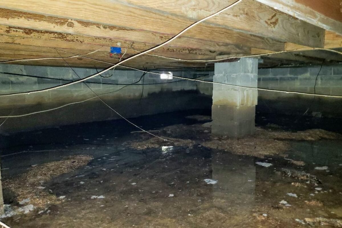 Standing water pooling over dirt in a crawl space, causing sagging or fallen insulation in Palm Coast, Florida.
