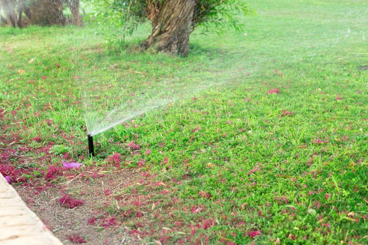 Sprinkler creating uneven soil moisture, causing soil shrinkage and sinking concrete near landscaping in Gainesville, FL.