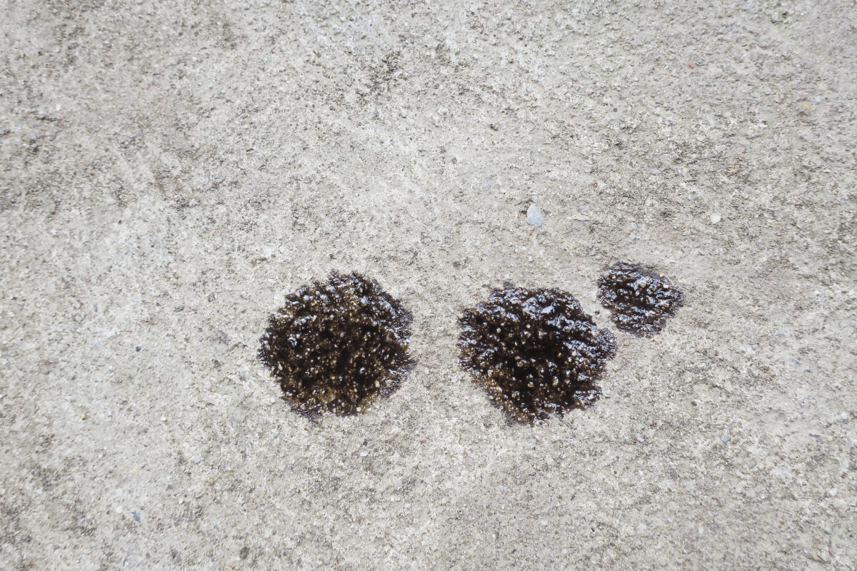 Garage floor concrete stained and weakened by oil, coolant, and automotive fluid, causes of concrete chemical damage in St Johns, FL.
