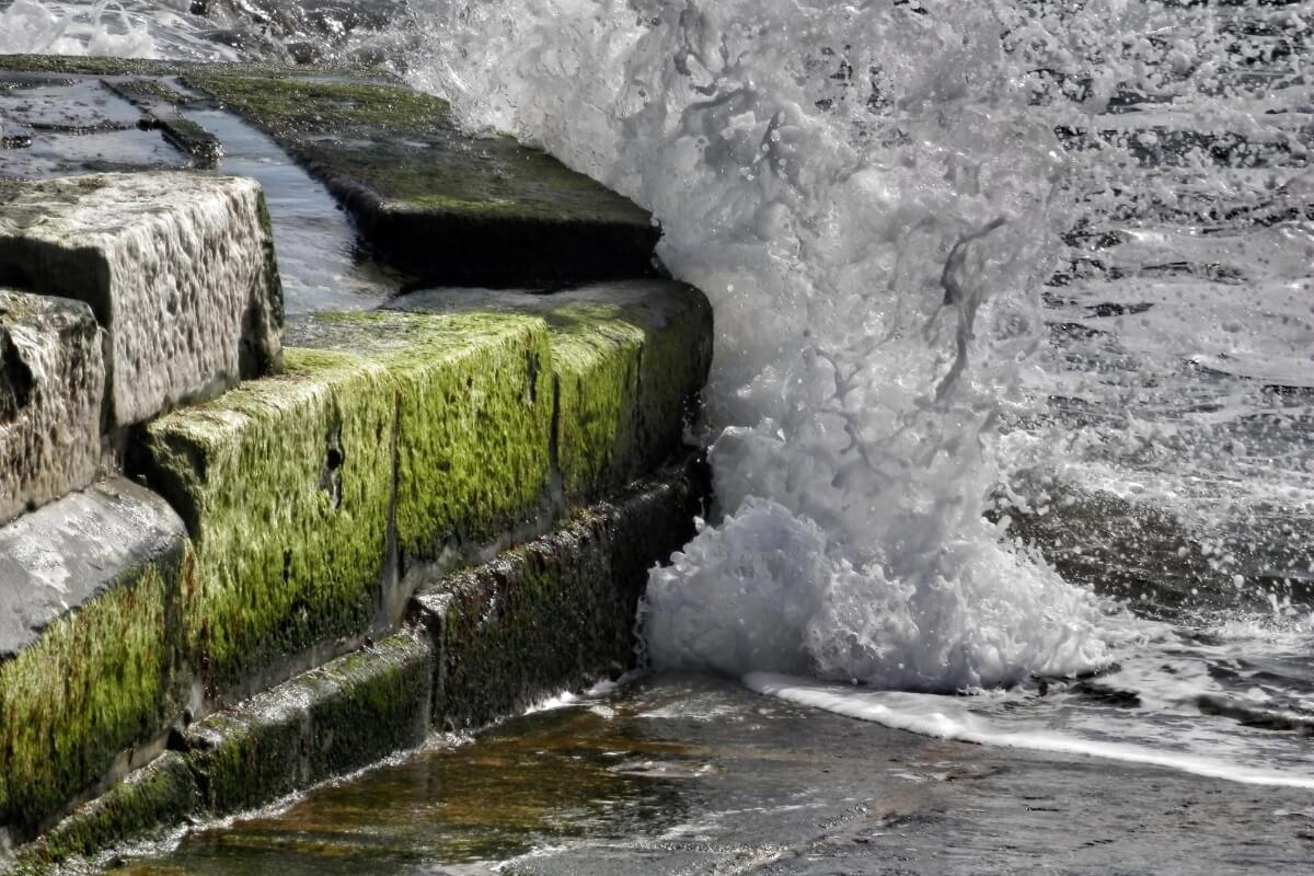 Water flowing through a loose seawall joint, carrying soil out from behind the wall, causes of seawall damage in Ocala, FL.