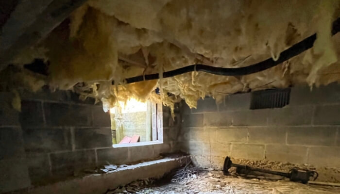Wet and sagging crawl space insulation caused by ongoing moisture exposure, a sign of a crawl space problem, Palm Coast, FL.