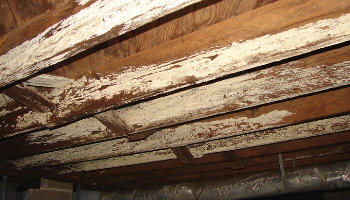 Wood rot in crawl space in Palm Coast, FL, caused by excess moisture near the foundation, a common sign of water damage.