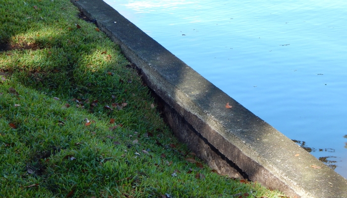 Eroded sections along a seawall in Gainesville, FL, where soil has worn away, a common seawall problem.