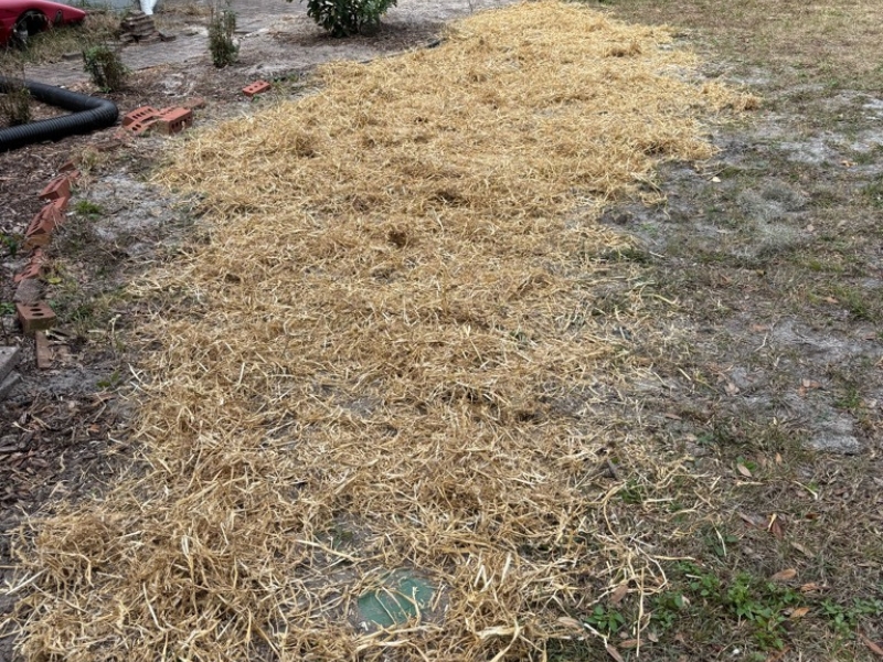 Restored yard and patio after downspout extension installation in Orange Park, FL, maintaining curb appeal and proper drainage flow.
