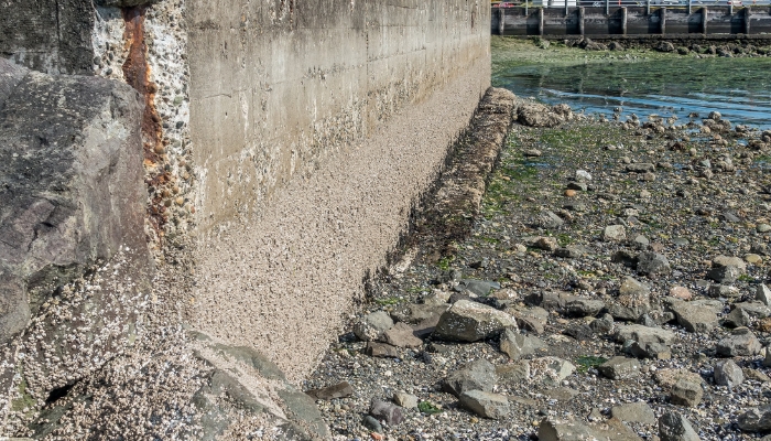 Soil washout beneath a seawall base in Gainesville, FL, creating gaps and instability along shoreline.