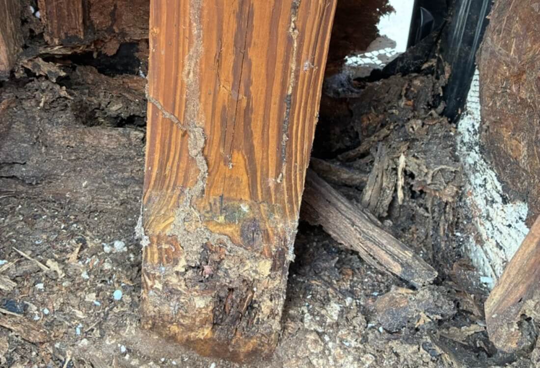 Severely rotted gazebo post base in Jacksonville, FL, showing wood deterioration from prolonged moisture exposure.