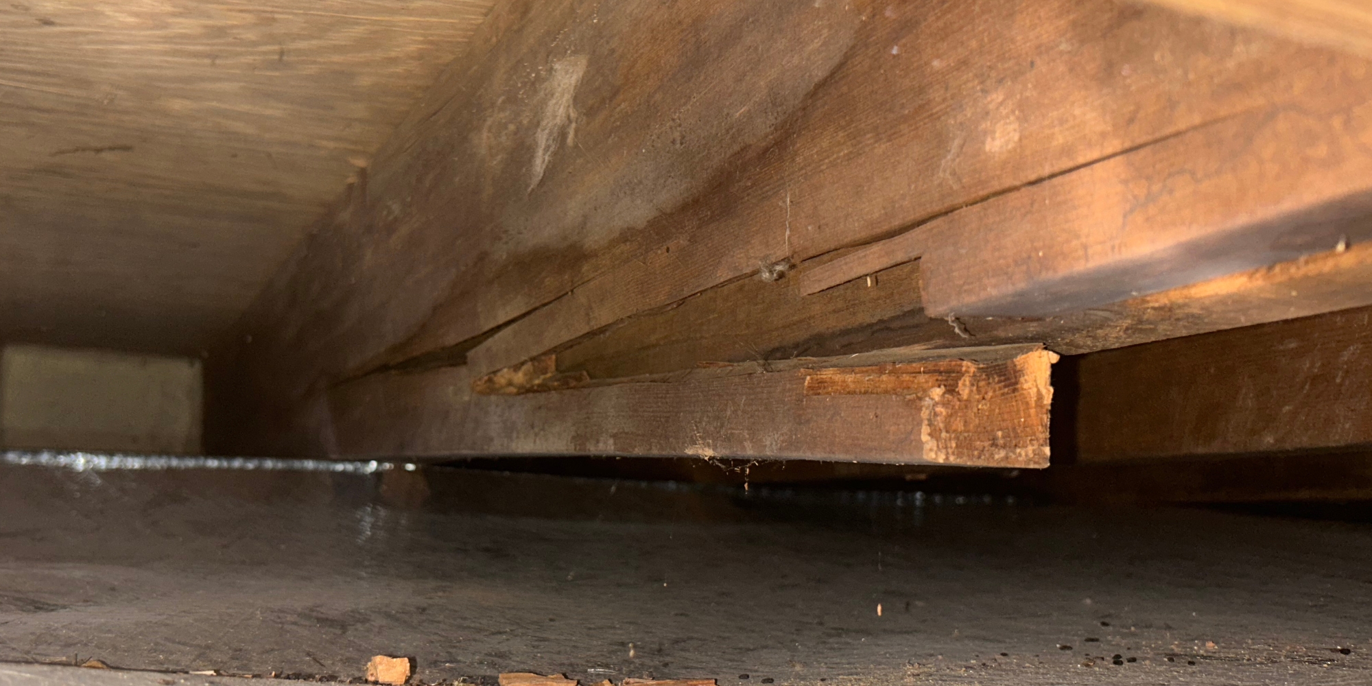 Cracked floor joist in a Northern Florida crawl space showing wood separation and damage