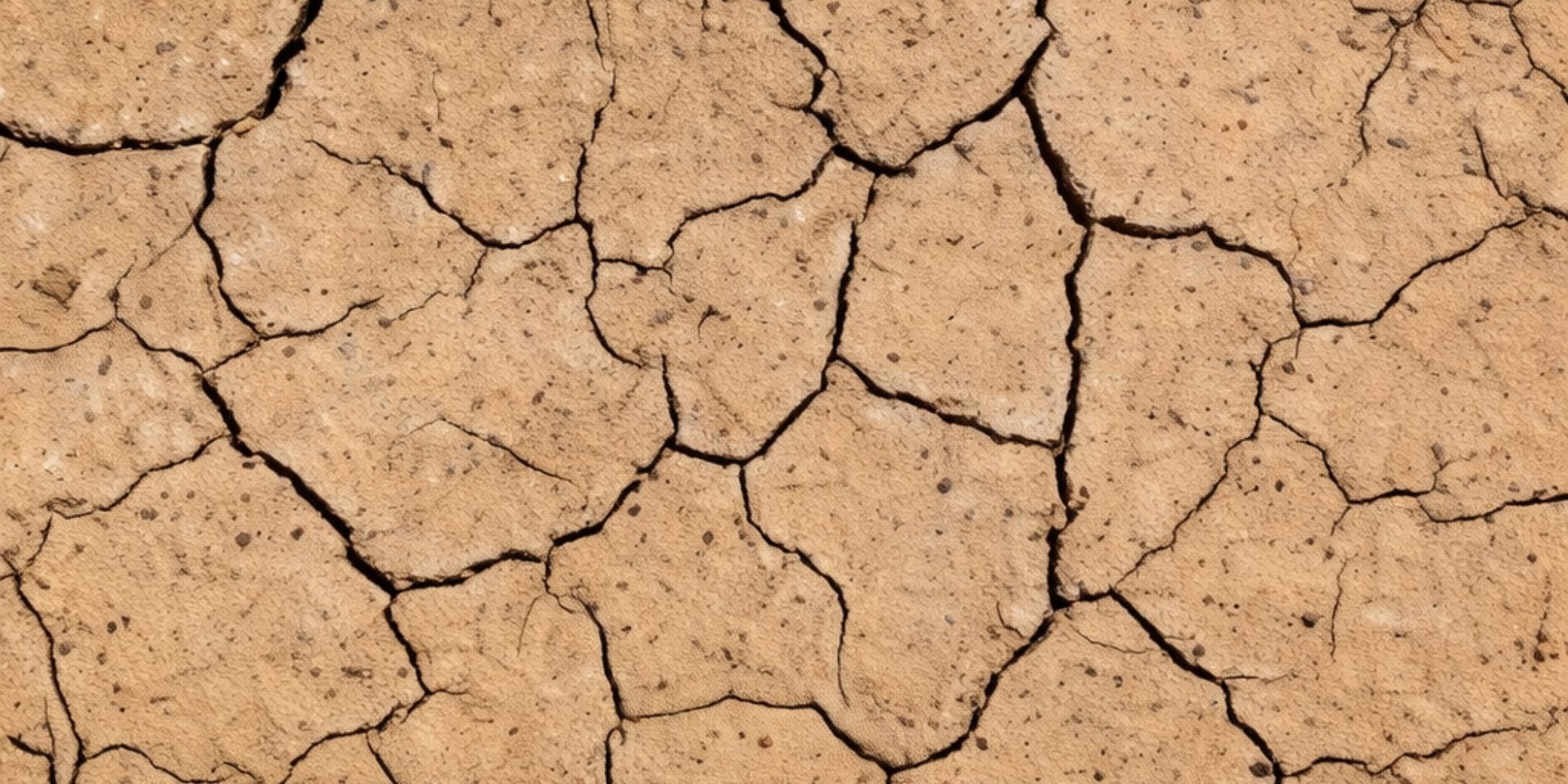 Cracked dry clay soil showing the shrink-swell texture of expansive soil in Florida that puts constant pressure on home foundations.