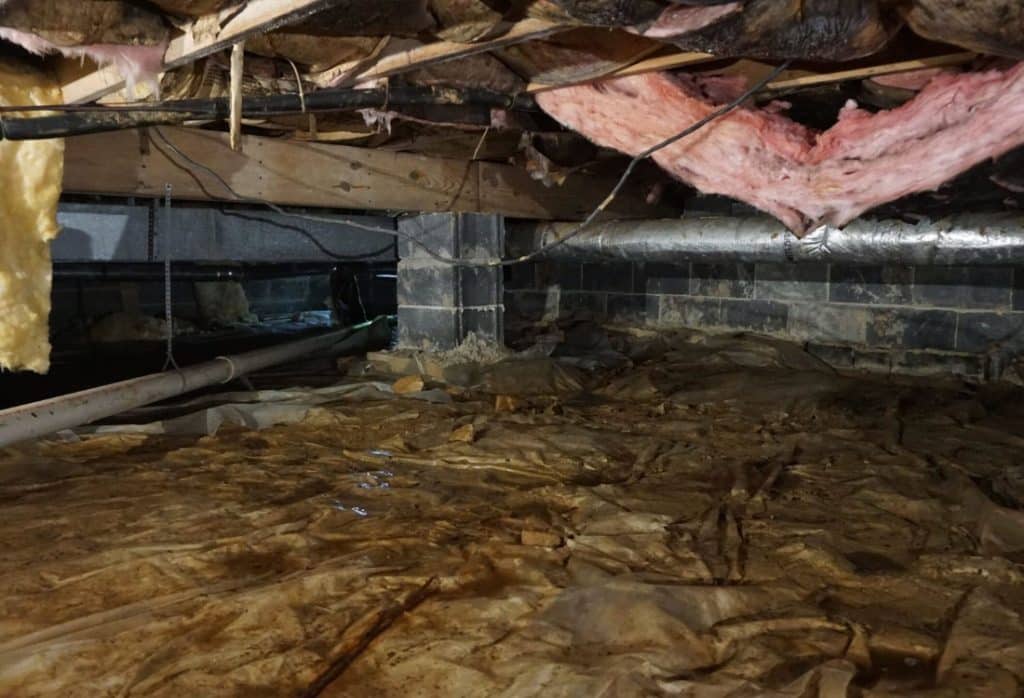 Wet insulation detaching from floor joists in a crawl space, showing the effects of water in the crawl space in St Augustine, FL.