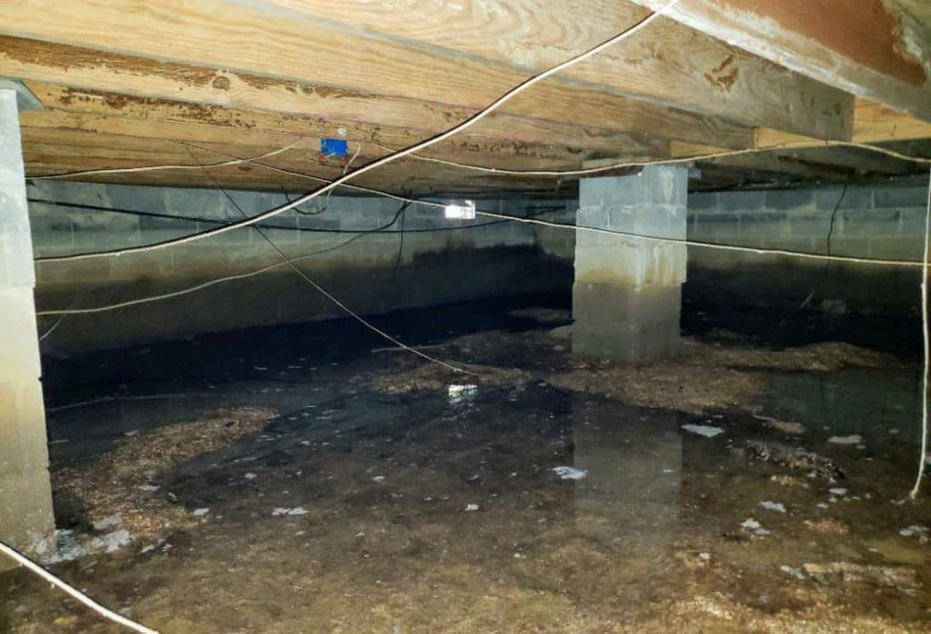 Standing water on the dirt floor, showing what causes of water in a crawl space look like when left unaddressed in Jacksonville, FL.