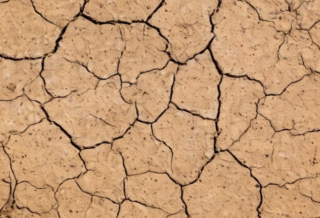 Close-up of cracked dry clay soil showing the shrink-swell cycle texture of expansive soil that damages foundations in Jacksonville, FL.
