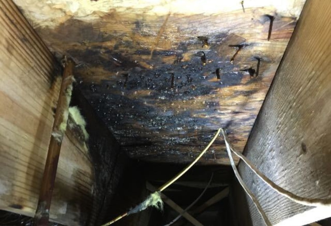 Mold-covered wood joists and dark moisture stains causing musty odors, a sign crawl space needs vapor barrier in Jacksonville, FL.