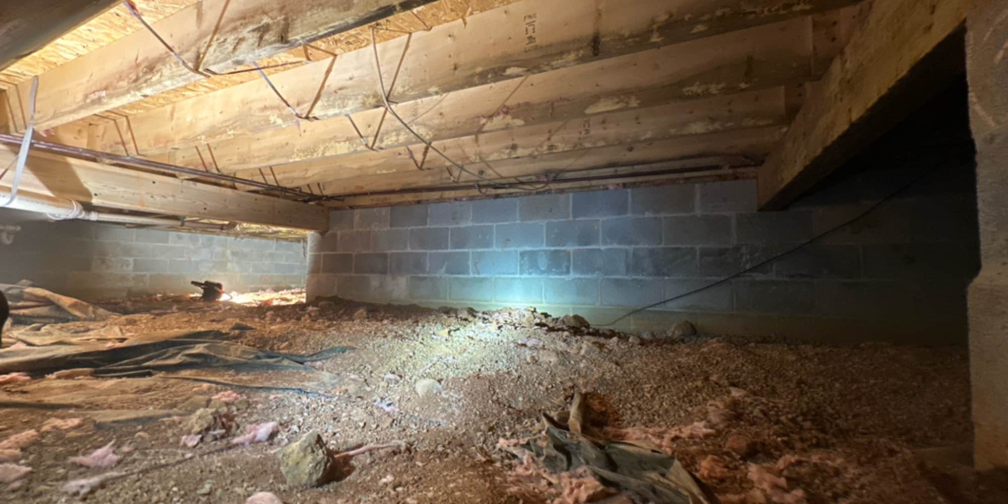 Exposed dirt floor, fallen insulation, and water stain floor joists, a sign crawl space needs vapor barrier in Northern Florida.