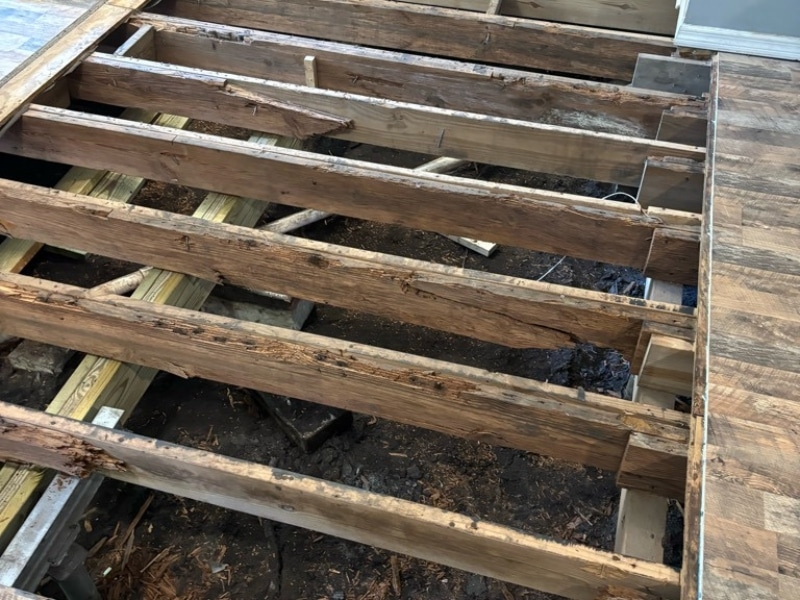 Removed sub-floor exposing damaged floor framing and joists during crawl space repair in Callahan, FL.