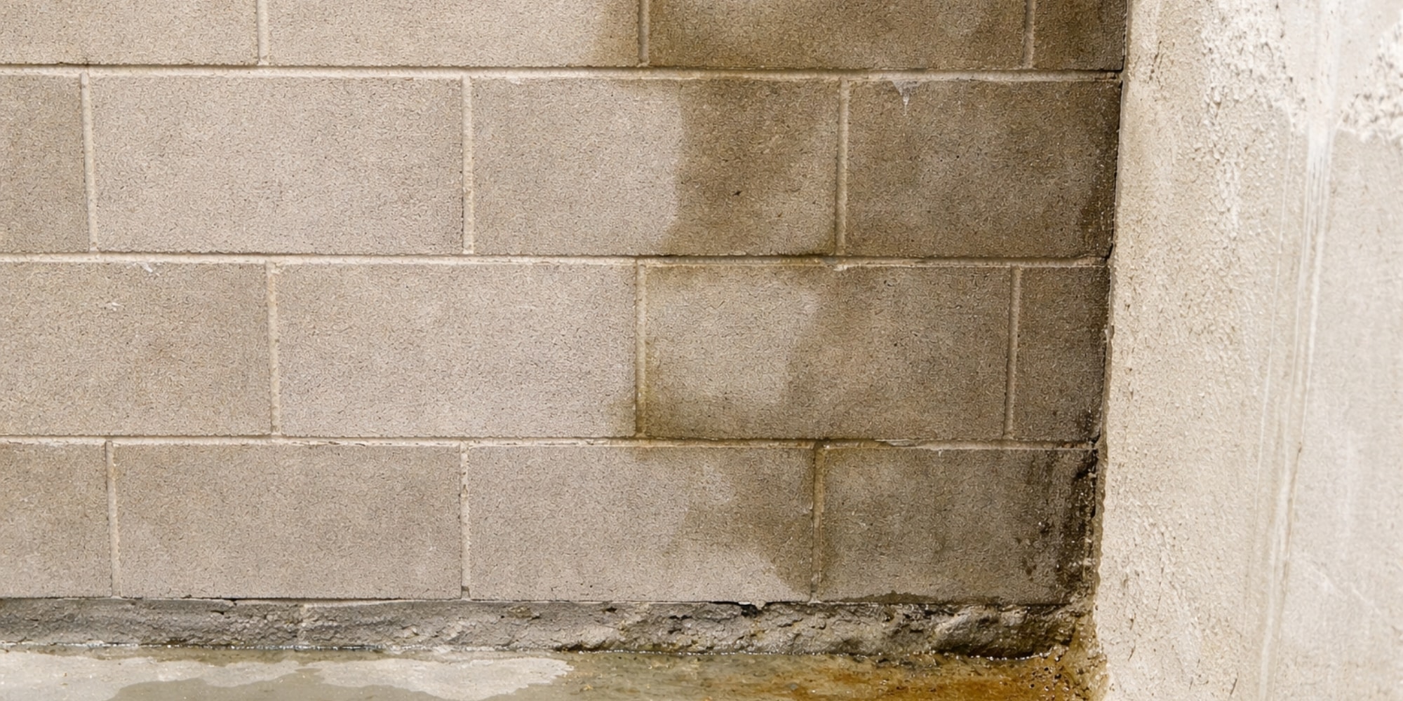Foundation leaks at a Northern Florida home with water seeping through the exterior foundation wall.