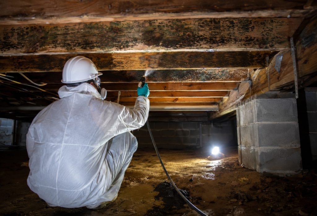 Mold treatment applied to joists to get rid of musty smell in crawl space in Palm Coast, FL.