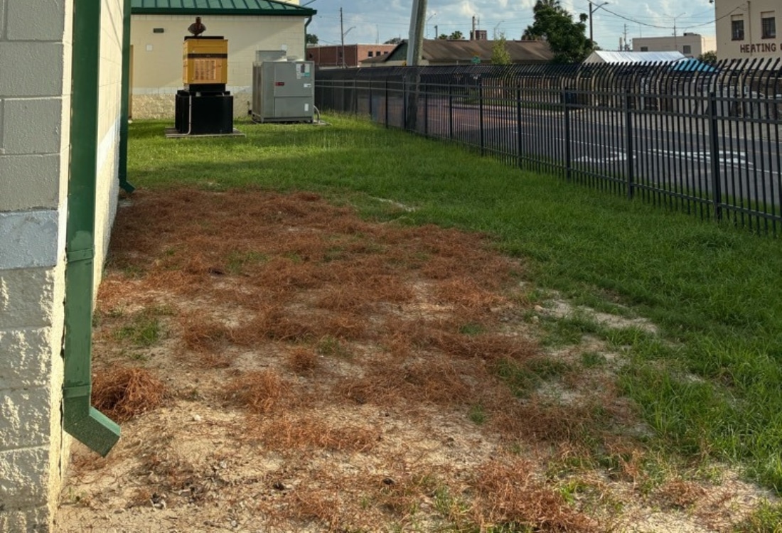 Undisturbed grass and with cracked exterior CMU wall before push pier foundation repair in Jacksonville, FL.