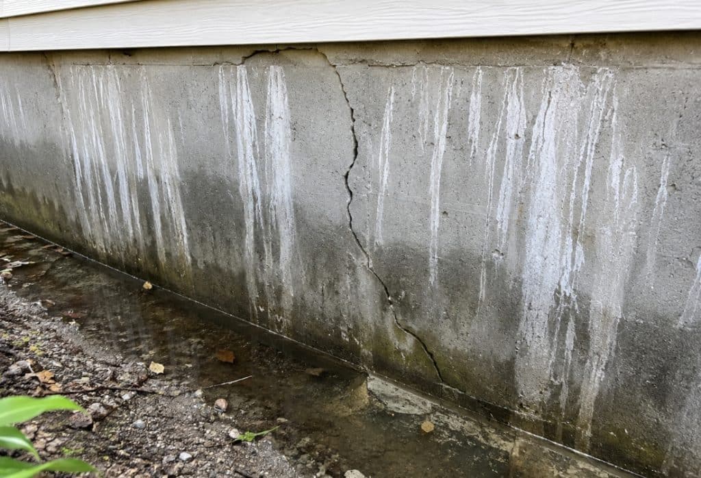 Foundation wall with crack, white efflorescence, and standing water at the base, a sign needing foundation waterproofing in Ocala, FL.