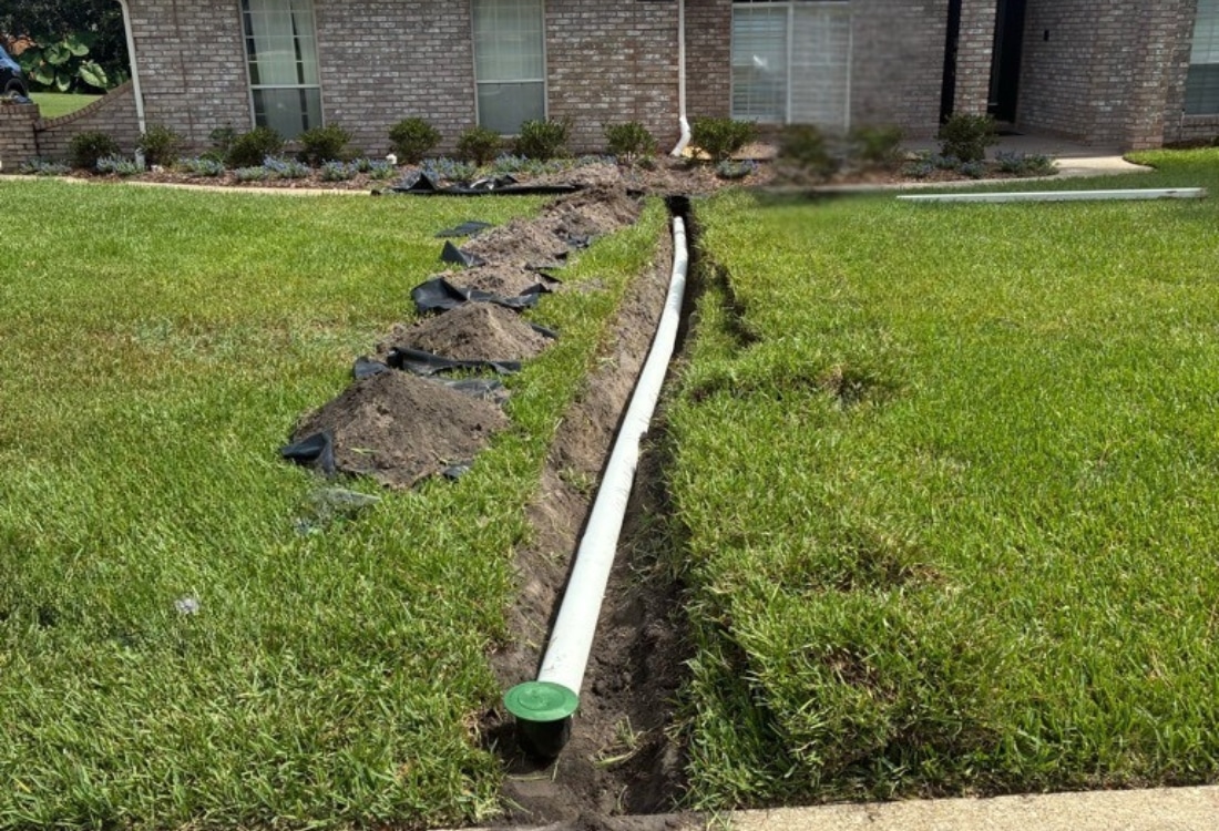Green pop-up emitter installed flush in grass after underground downspout drainage system installation in Jacksonville, FL.
