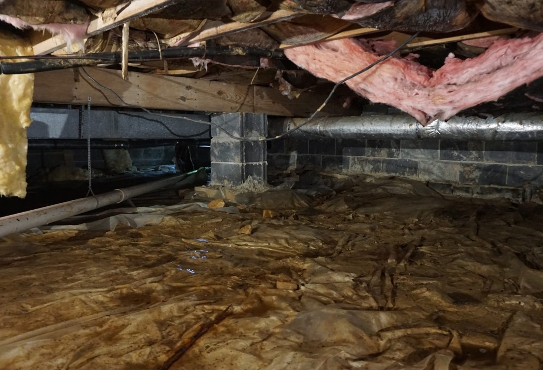 Damp crawl space with failing insulation showing conditions that increase how much crawl space encapsulation cost in St Augustine, FL.