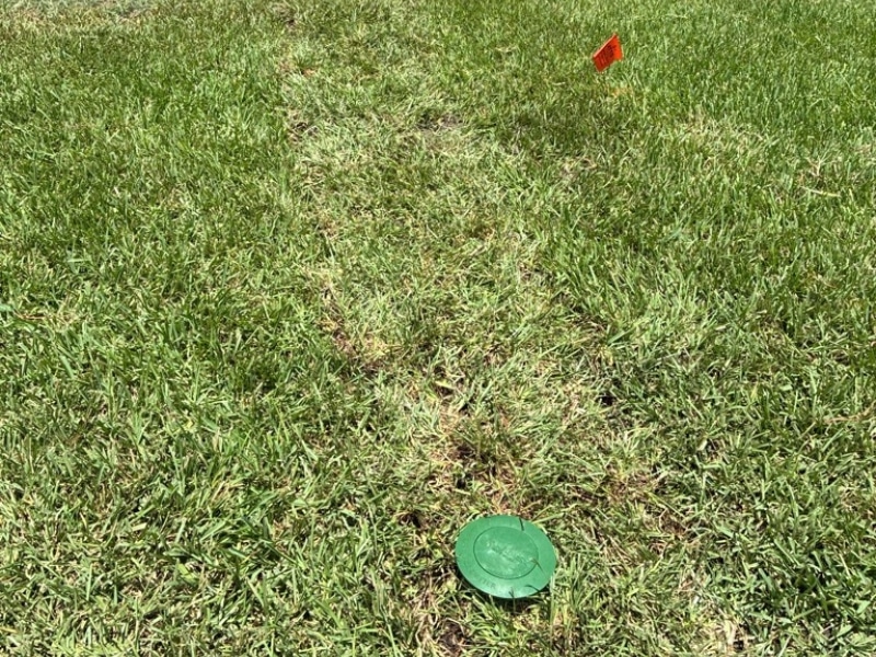 Finished front yard fully restored after underground downspout drainage system installation in Jacksonville, FL.